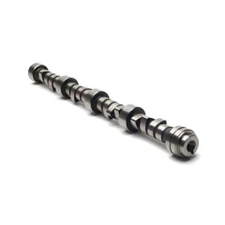 Camshaft 4.0 Liter V8