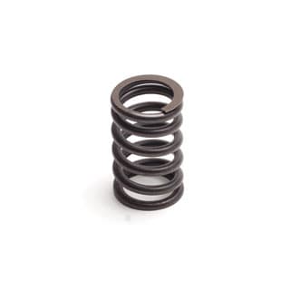 VALVE SPRING V8
