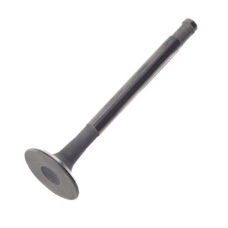 Exhaust Valve 3.9 &amp; 4.0L