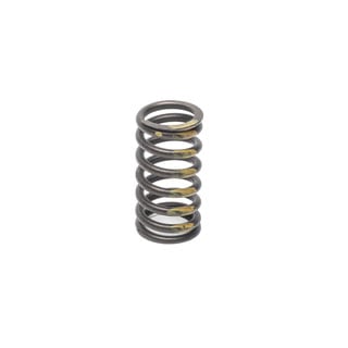 Cylinder Head - Valve Spring - Td5
