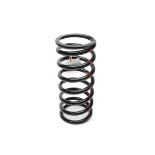 Coil Spring - Passenger Side