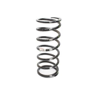 Coil Spring - Passenger Side