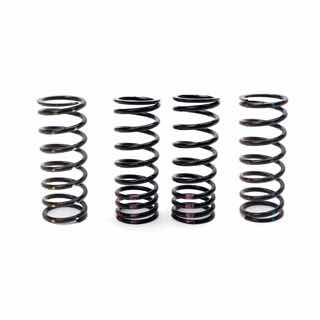 Coil Spring Set D90 H.D. w/Winch