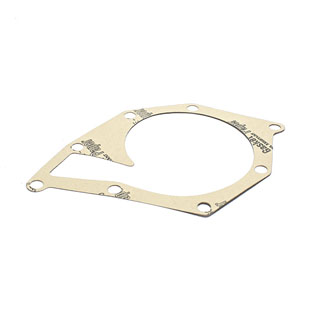 Gasket  Water Pump - 200Tdi