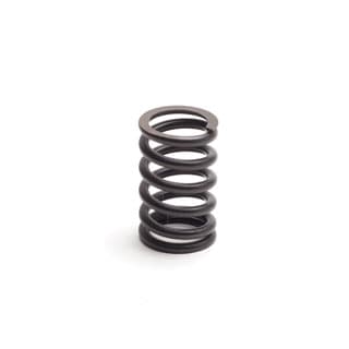 VALVE SPRING V8