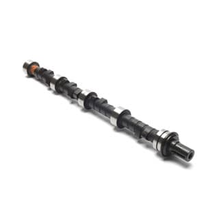 Camshaft 3.9 Liter V8