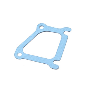 Gasket Thermostat Housing 300Tdi