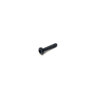 Screw M5 X 25mm Torx