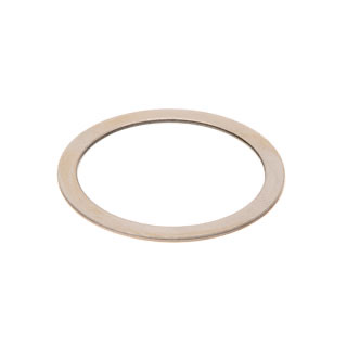 SHIM .030" CARRIER SALISBURY DIFF