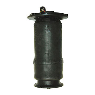 Spring - Air Suspension P38A Front