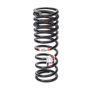 Coil Spring - Rear