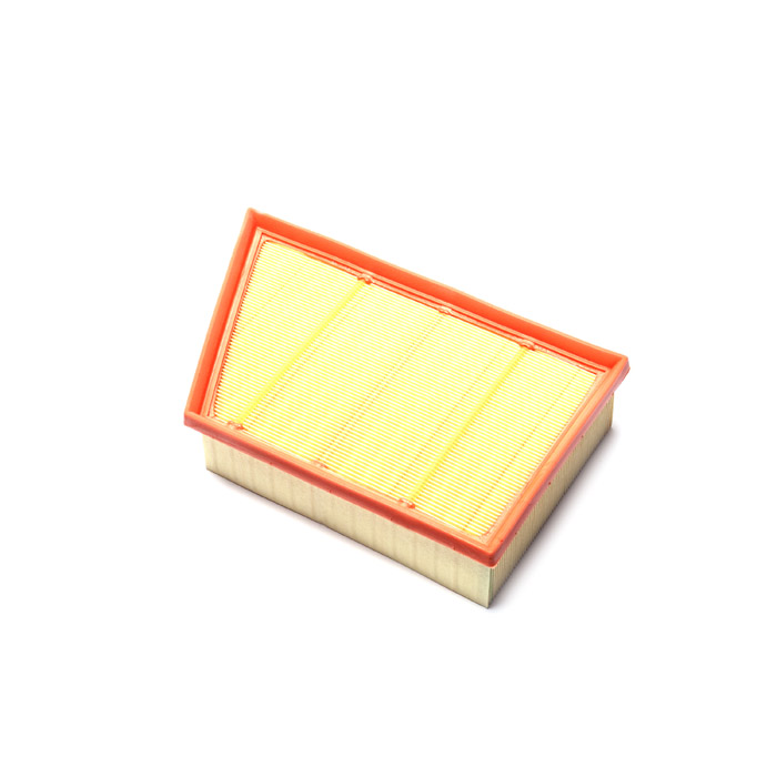 Air Filter 2.0L Petrol Rr Evoque & Dscovery Sport LR029078 RNQ950 ...