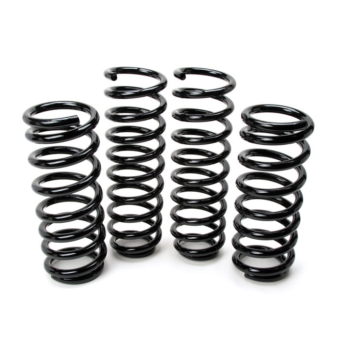 Plus 2 Coil Spring Vehicle Set L663 RNA0124 Rovers North Land Rover