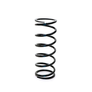 Coil Spring - Passenger's Side - Blue Stripe