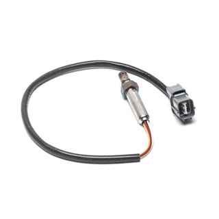 Oxygen Sensor Heated