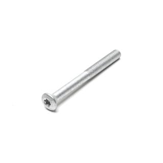 Bolt -Hinge - Torx - M8 X 60mm