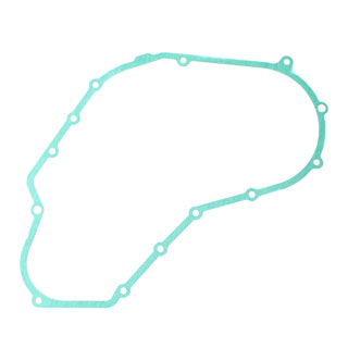 Gasket Timing Outer Cover 300 Tdi