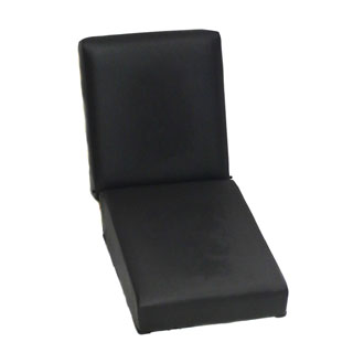 Seat Back and Bottom Front Center Series Black Vinyl