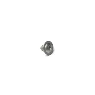 Flange Screw Torx