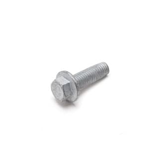 Bolt M10 X 25mm