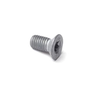 Torx Bolt - M10 X 20mm - LR2 Brake Disc