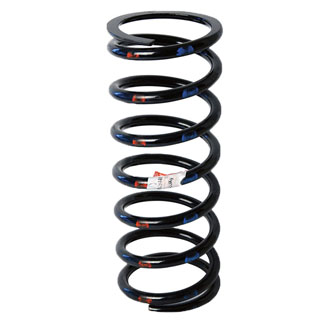 Coil Spring Driver Side