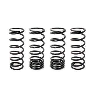 OME Spring Kit D110 SW STD Heavy Duty