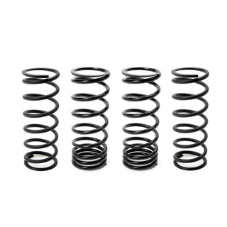 OME Spring Kit D110 SW Std Heavy Duty