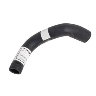 Radiator Hose - Bottom