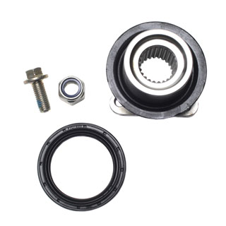 Flange & Seal Kit Diff Pinion P38a