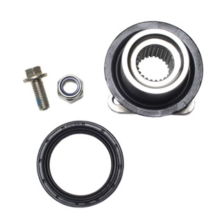 Flange &amp; Seal Kit Diff Pinion P38a