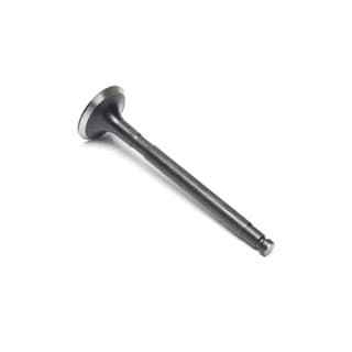 Exhaust Valve 2.25 Diesel