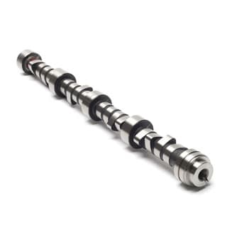 CAMSHAFT ASSY 4.6L V-8 P38A &amp; DII