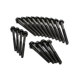 Head Bolt Kit 200 Tdi