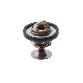 Thermostat 300Tdi