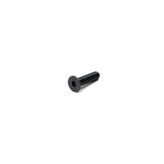 Screw M6 X 25mm Counter Sunk