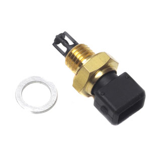 Air Temperature Sensor 300Tdi