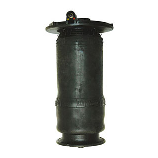 Spring - Air Suspension P38a Front
