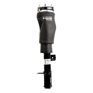 Strut Assy RH Front L322 4.4L V8 EFI