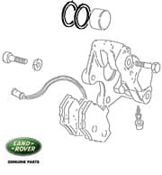 Seal Kit - Front Brake Caliper