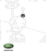 Spring Washer