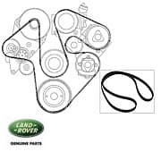 Alternator Drive Belt, Serpentine Poly-V, Disco II w/Ace, w/o A/C