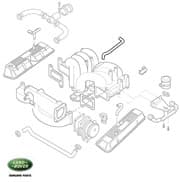 Hose Valve Cover Breathr V-8 Efi
