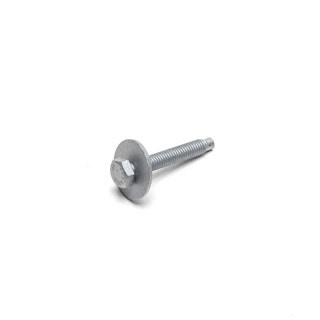 Bolt M6 X 30mm