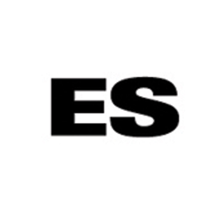BADGE - "ES" NAME PLATE   DISCOVERY I